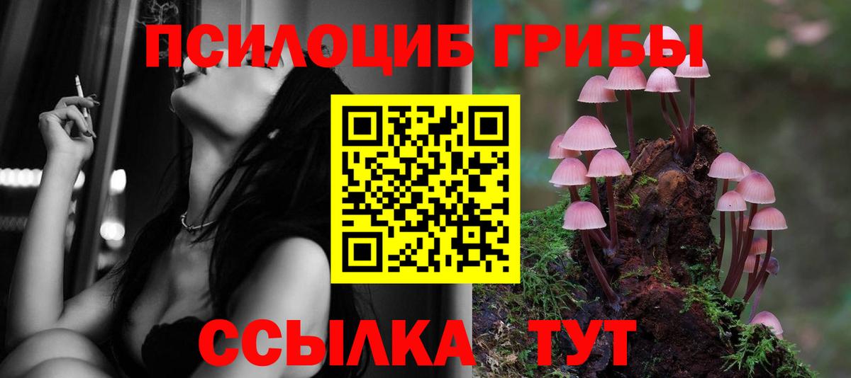 Псилоцибиновые грибы ЛСД  Галлюциногенные грибы Psilocybe  Моздок  Вход с VPN 